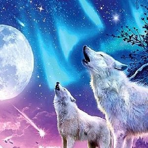 Meet your Posher, Mikayla